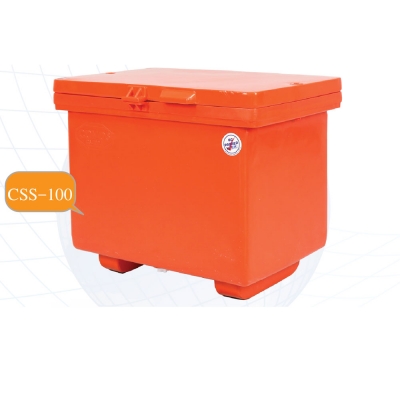CSS-100