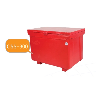 CSS-300