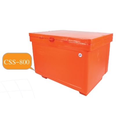 CSS-800