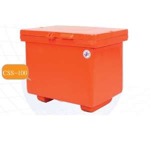 CSS-100